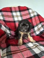 processed/889f60e6-709f-43e0-a992-48fb980dcf98/listing/9905965b-d43f-4ba8-b0b7-01ee38a61830/b302b9b6-b720-47d6-8dba-599a161b171f