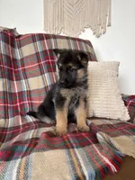 processed/889f60e6-709f-43e0-a992-48fb980dcf98/listing/c7bc1136-5305-479b-9265-4cbb720e136f/77e57191-568d-4460-86db-f5de85c39ee8