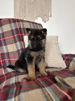 processed/889f60e6-709f-43e0-a992-48fb980dcf98/listing/c7bc1136-5305-479b-9265-4cbb720e136f/947de242-bca5-42da-b8b3-16e4a90c080f