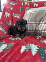 processed/889f60e6-709f-43e0-a992-48fb980dcf98/listing/dccbf779-f167-4bc9-968b-4d91970c69ce/1589abc6-cc9a-489f-8d0e-c7a7c036818d