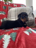 processed/889f60e6-709f-43e0-a992-48fb980dcf98/listing/dccbf779-f167-4bc9-968b-4d91970c69ce/86530418-392a-4bf9-807e-c565541486fa