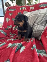 processed/889f60e6-709f-43e0-a992-48fb980dcf98/listing/dccbf779-f167-4bc9-968b-4d91970c69ce/b5a20368-f7a3-4179-9237-ae98c62c751e