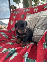 processed/889f60e6-709f-43e0-a992-48fb980dcf98/listing/dccbf779-f167-4bc9-968b-4d91970c69ce/c610e248-88f1-45d9-a0ea-37a0fd606b17