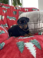 processed/889f60e6-709f-43e0-a992-48fb980dcf98/listing/dccbf779-f167-4bc9-968b-4d91970c69ce/ccae5d89-c8e9-4184-97c2-f235e12ae077