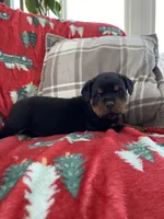 processed/889f60e6-709f-43e0-a992-48fb980dcf98/listing/dccbf779-f167-4bc9-968b-4d91970c69ce/e3f67297-db42-4b54-910b-76461a3e1ac9