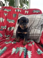 processed/889f60e6-709f-43e0-a992-48fb980dcf98/listing/dccbf779-f167-4bc9-968b-4d91970c69ce/f0164508-5ac4-42e3-8e5c-18f7fc6c0e52