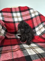 processed/889f60e6-709f-43e0-a992-48fb980dcf98/listing/e101aed4-b85f-4376-bf75-630df51aa761/02e72711-b934-48a6-8087-e3cc36bf97f9