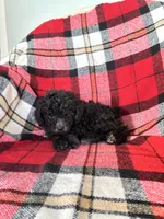 processed/889f60e6-709f-43e0-a992-48fb980dcf98/listing/e101aed4-b85f-4376-bf75-630df51aa761/39bb14ec-9bfa-429e-84f8-63f1e0ebeb9d