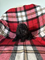 processed/889f60e6-709f-43e0-a992-48fb980dcf98/listing/e101aed4-b85f-4376-bf75-630df51aa761/59a02afb-f44f-4da6-b92f-23125c41d51a