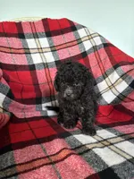 processed/889f60e6-709f-43e0-a992-48fb980dcf98/listing/e101aed4-b85f-4376-bf75-630df51aa761/72656cd6-07bb-4097-bd17-b6c56ff55a5c