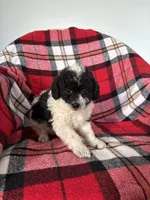 processed/889f60e6-709f-43e0-a992-48fb980dcf98/listing/fb45ac09-f326-427e-bbc3-b1a4844c7c4a/8f969f6e-ebdc-4b34-8bfa-0b330044007d