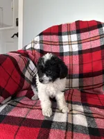 processed/889f60e6-709f-43e0-a992-48fb980dcf98/listing/fb45ac09-f326-427e-bbc3-b1a4844c7c4a/ba41cae7-63d7-4127-9096-be7702212b5b