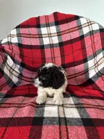 processed/889f60e6-709f-43e0-a992-48fb980dcf98/listing/fb45ac09-f326-427e-bbc3-b1a4844c7c4a/c6961ba4-6bb0-4f5e-930b-9666baf1f4c5