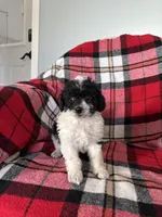 processed/889f60e6-709f-43e0-a992-48fb980dcf98/listing/fb45ac09-f326-427e-bbc3-b1a4844c7c4a/d7015842-d242-4f73-b406-bada816c18d2