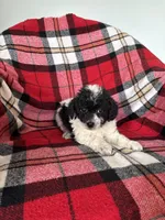 processed/889f60e6-709f-43e0-a992-48fb980dcf98/listing/fb45ac09-f326-427e-bbc3-b1a4844c7c4a/eb5bf0f5-18c5-468e-a321-81bcf48b648a