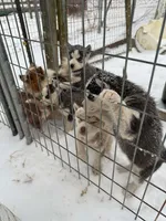 processed/88a12f90-cf8d-4958-b701-55928736b837/listing/a82a4890-29c5-4d77-a5c5-6a6c05bf4ee6/44819e85-2aac-48bb-a951-377c4be6e470