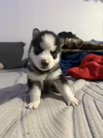 processed/88a12f90-cf8d-4958-b701-55928736b837/listing/a82a4890-29c5-4d77-a5c5-6a6c05bf4ee6/98f932cc-533f-4de5-8f85-3e4fe4a908af