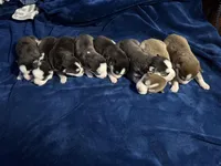 processed/88a12f90-cf8d-4958-b701-55928736b837/listing/a82a4890-29c5-4d77-a5c5-6a6c05bf4ee6/dec17399-1069-4ba5-9d7c-9a3e8fcfb2d4