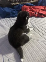 processed/88a12f90-cf8d-4958-b701-55928736b837/listing/a82a4890-29c5-4d77-a5c5-6a6c05bf4ee6/df6a7284-d081-42c3-865c-93a825ec4f64