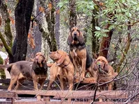 processed/88a6d1f0-131f-4ebe-b825-261bd7bcb032/facility/07d201cb-5801-45be-bcf6-6b1c1b2e5d93