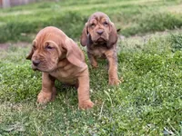 processed/88a6d1f0-131f-4ebe-b825-261bd7bcb032/facility/3877c561-8100-4ec0-a660-64c79ea6343d