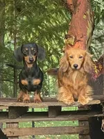 processed/88a6d1f0-131f-4ebe-b825-261bd7bcb032/facility/91901cf5-fb49-48f7-8191-e070a7aaecef