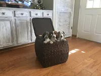 processed/88a6d1f0-131f-4ebe-b825-261bd7bcb032/facility/91d0a8e6-c438-4362-b756-80d79cd94591