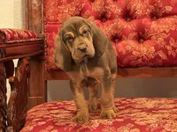 processed/88a6d1f0-131f-4ebe-b825-261bd7bcb032/facility/f8472bfc-e2ee-41ec-abb4-8213096764c9