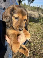 processed/88a6d1f0-131f-4ebe-b825-261bd7bcb032/listing/8f52ece8-28aa-4e6f-afe8-8ea71dd4e547/44c4e778-e7a1-4e6f-a477-0cfef1644bcc