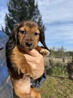 processed/88a6d1f0-131f-4ebe-b825-261bd7bcb032/listing/8f52ece8-28aa-4e6f-afe8-8ea71dd4e547/4572e0cc-dd7f-4791-ae32-19d4bdf2ff34