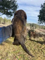 processed/88a6d1f0-131f-4ebe-b825-261bd7bcb032/listing/8f52ece8-28aa-4e6f-afe8-8ea71dd4e547/6f59cdf0-9b5d-4bc2-a896-818a39f4375b