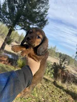 processed/88a6d1f0-131f-4ebe-b825-261bd7bcb032/listing/8f52ece8-28aa-4e6f-afe8-8ea71dd4e547/b54bb4ab-23ee-4d05-a90f-bca311ccb4c7