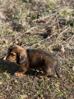 processed/88a6d1f0-131f-4ebe-b825-261bd7bcb032/listing/8f52ece8-28aa-4e6f-afe8-8ea71dd4e547/d035f67f-76ea-4488-9860-a34dd077e6b4