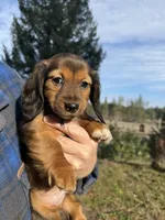 processed/88a6d1f0-131f-4ebe-b825-261bd7bcb032/listing/8f52ece8-28aa-4e6f-afe8-8ea71dd4e547/eae4323b-63e2-4734-8c67-76ff71dd756a