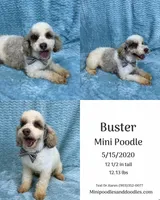 processed/88ade5a2-a45e-464e-811d-e978c368a8b0/listing/12348082-ced5-40d2-976f-e429fd357146/4fb4d652-1a5b-475d-8f42-33d0817e6ef3