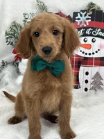 processed/88ade5a2-a45e-464e-811d-e978c368a8b0/listing/326c10ee-6405-419c-8d21-c24599c332fa/02e8fa79-4eab-49df-8bb3-84a43e8f8ab5