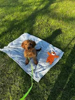 processed/88ade5a2-a45e-464e-811d-e978c368a8b0/listing/326c10ee-6405-419c-8d21-c24599c332fa/1072fd84-d1d9-42ea-904a-b65c029a404b