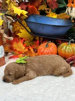 processed/88ade5a2-a45e-464e-811d-e978c368a8b0/listing/326c10ee-6405-419c-8d21-c24599c332fa/303d4512-d56e-4dc8-b287-ab67eb2e685c