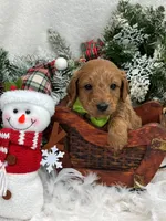 processed/88ade5a2-a45e-464e-811d-e978c368a8b0/listing/326c10ee-6405-419c-8d21-c24599c332fa/381bb40d-723c-405f-a5e0-d721ebe5a715