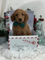 processed/88ade5a2-a45e-464e-811d-e978c368a8b0/listing/326c10ee-6405-419c-8d21-c24599c332fa/668917eb-5dfb-4438-91fa-e98badc2485b