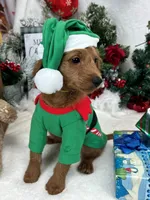 processed/88ade5a2-a45e-464e-811d-e978c368a8b0/listing/326c10ee-6405-419c-8d21-c24599c332fa/744a9a0a-58d0-4bc6-878b-cec87488048c