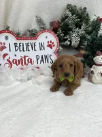 processed/88ade5a2-a45e-464e-811d-e978c368a8b0/listing/326c10ee-6405-419c-8d21-c24599c332fa/7f6ceaae-ccf2-44ae-b262-fd2455d78212