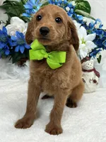 processed/88ade5a2-a45e-464e-811d-e978c368a8b0/listing/326c10ee-6405-419c-8d21-c24599c332fa/daf10978-2bc8-4ef9-b478-801074faf58e