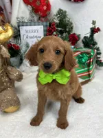 processed/88ade5a2-a45e-464e-811d-e978c368a8b0/listing/326c10ee-6405-419c-8d21-c24599c332fa/ef4b7601-71c9-4dad-91dc-7c1f81e8170b