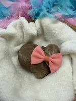 Aspen's Coral Boy, a female Miniature Bernedoodle for sale in Bullard, TX – 2 of 3