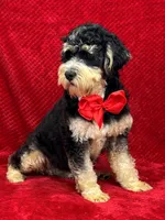 processed/88ade5a2-a45e-464e-811d-e978c368a8b0/listing/439ed8c2-44aa-4704-aef8-97807c308e32/9b6f255c-d172-4c1b-b5af-001685630ed4