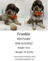 processed/88ade5a2-a45e-464e-811d-e978c368a8b0/listing/5c94e569-870c-4dce-a325-b47d516b07e4/9c4754b9-62a2-4545-8c3c-706ff11ebdfe