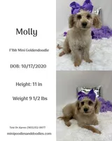 processed/88ade5a2-a45e-464e-811d-e978c368a8b0/listing/6df6e27f-c97b-4d35-bfff-c2178b3dd2b0/95f139fe-0652-464d-9b7b-5ae3f39086a5