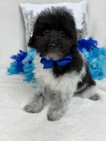 processed/88ade5a2-a45e-464e-811d-e978c368a8b0/listing/dcf01a67-d42b-4fef-a3eb-3fc6a14e9c2e/30889354-a6dc-49f7-af13-a6f16bcb44b9