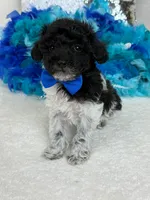 processed/88ade5a2-a45e-464e-811d-e978c368a8b0/listing/dcf01a67-d42b-4fef-a3eb-3fc6a14e9c2e/3457c3be-39eb-4a5d-baf7-f8781b6e333e